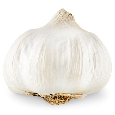 garlic clove