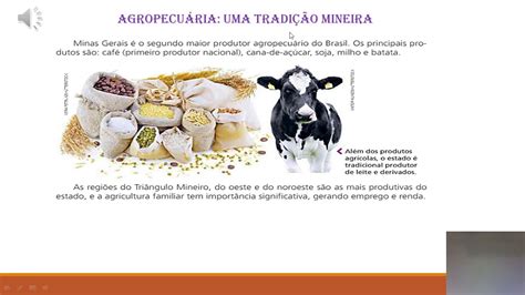 Quais São As Principais Atividades Economicas Da Região Sudeste