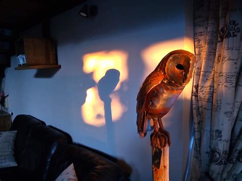 Barn Owl At Peace Dadey Fine Metal Art