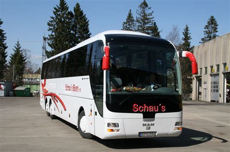 Schaus Buss