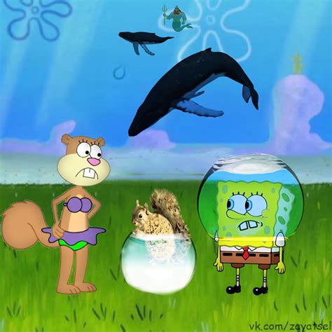 Ребёнок губки | Пикабу