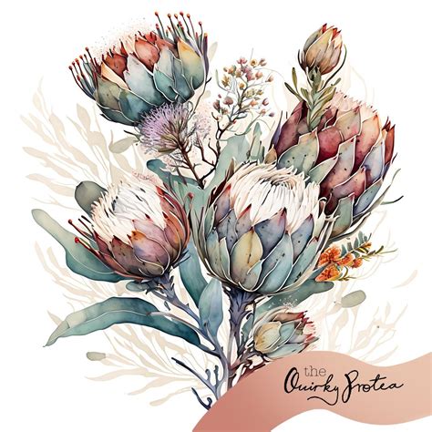 vintage protea bouquet watercolor art