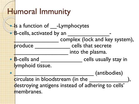 PPT - Lymphocytes and Immunity PowerPoint Presentation, free download - ID:2046532