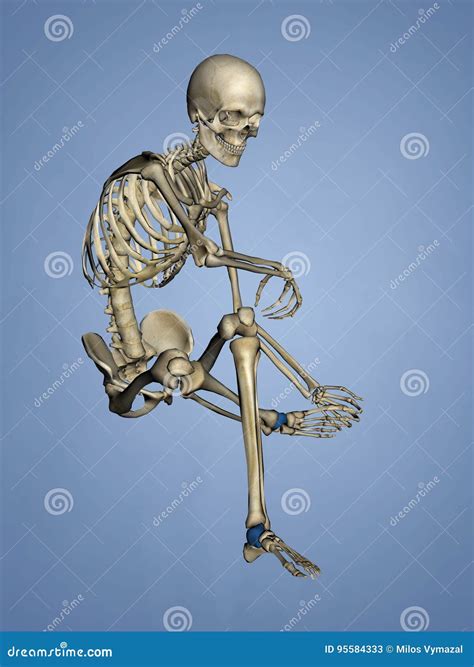 Talus Bone, 3D Model Stock Image | CartoonDealer.com #95584333