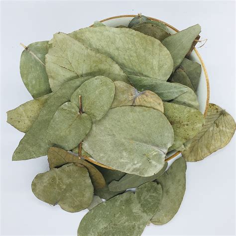 Эвкалипт лист 50 г | Chinachai