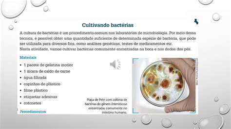 Ao Observar Em Um Microscópio Uma Cultura De Bactérias