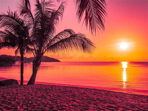 hermosa playa tropical al amanecer 2008271 Foto de stock en Vecteezy