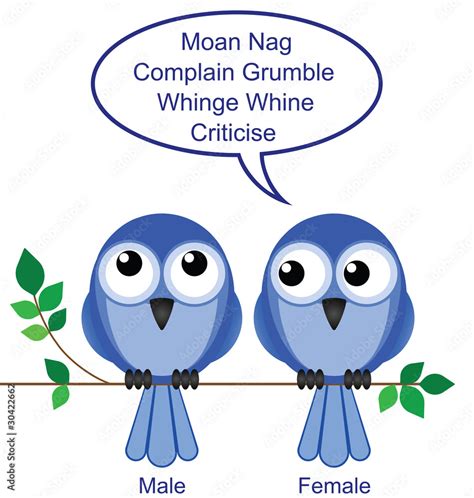 How To Determine The Sex Of Birds Stock Vector Adobe Stock