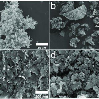 Sem Images Of A Polypyrrole Ppy B Pristine Molybdenum Disulfide