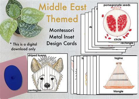 Montessori Metal Inset Amphibian Themed Design Cards Etsy
