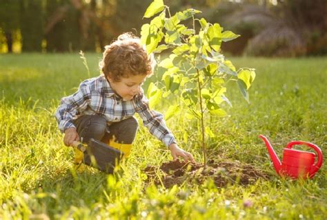 Картинки труд (99+ фото)