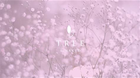 Tree By Naked Yoyogi Park Day Time Spring