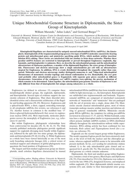 (PDF) Unique Mitochondrial Genome Structure in Diplonemids, the Sister ...
