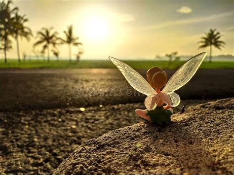 Sunrises and Tinkerbell Figures Stock Photo - Image of figures, nature: 198140208