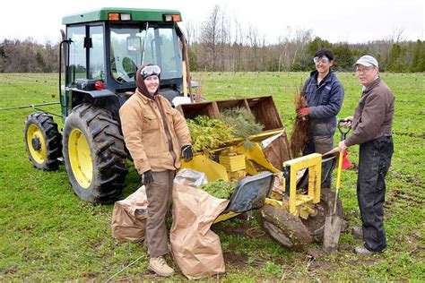 Funding Secured For Tree Planting Projects