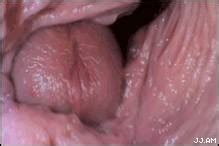 Breeding Luscious Hentai Manga Porn