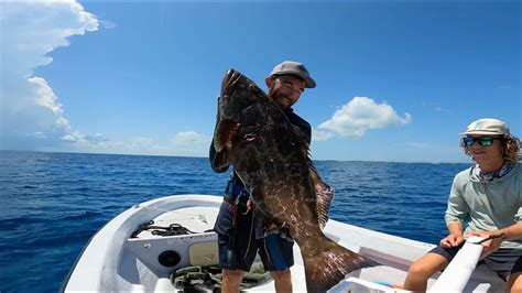 Spearfishing For Giant Grouper Hogfish More Abaco Bahamas Catch