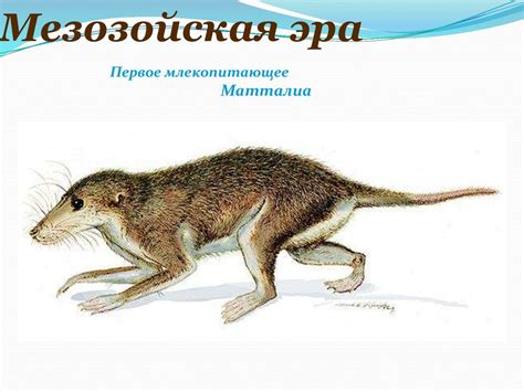 Эволюция жизни на Земле. Мезозойская эра (началась ~ 230 млн л.н ...