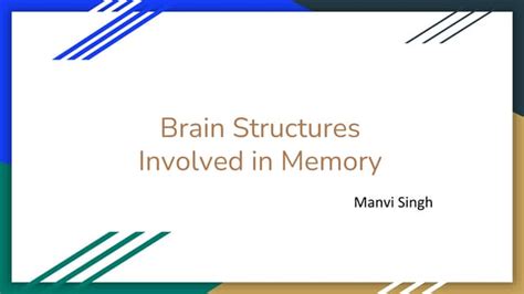 Brain Structures involved in Memory.pptx