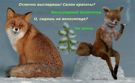 Отлично выглядишь! Салон красоты? Виноградный велосипед. О, сидишь на ...