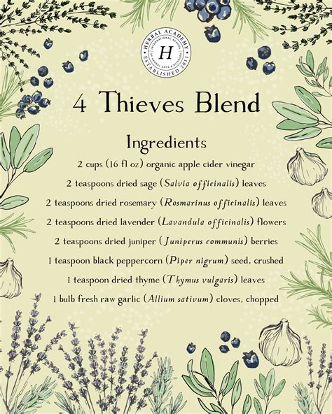 How To Make And Use The Legendary Four Thieves Vinegar Blend