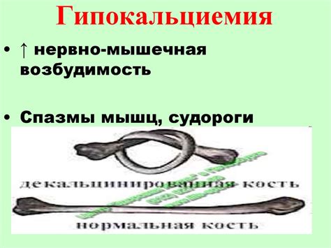 Регуляция кальциевого и фосфорного обмена - презентация онлайн