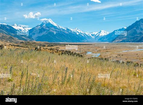 mackenzie country  mount cook south island  zealand stock photo