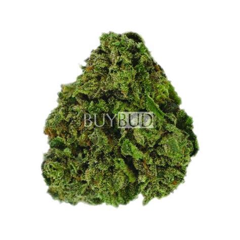 Buy Alaskan Thunder Fuck Cannabis Online Canada Free Shipping Orders Over 120 Free Gift