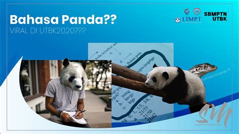 Soal Jenis Baru Di UTBK Bahasa Panda Bahasa Yg Sempat Viral Bikin