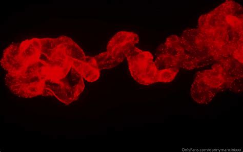 Watch Free Dannymancinixxx Xxx Onlyfans Porn Porn Video OnCams TV