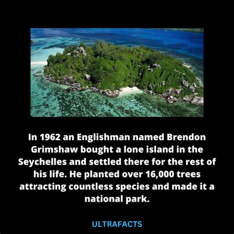 Lingerie Less Lingerieandless