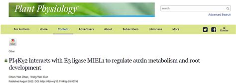 Plant Physiology 薛红卫课题组揭示植物生长素代谢和根发育调控的新机制 研究成果 上海交通大学农业与生物学院