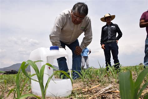 Refrenda Agricultura Su Compromiso Con Las Pr Cticas Sustentables En El