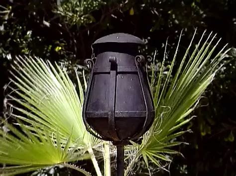 Coralie Porn Videos Porn Star Sex Scenes Xhamster