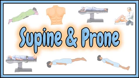 36 Supine And Prone Positions 2d Animation Youtube