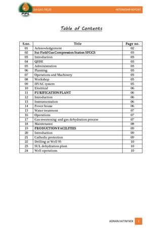 adnan ppl internship report docx