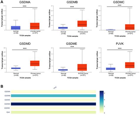 Integrated Analysis Of Expression Prognostic Value And Immune