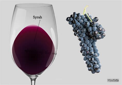 Que Syrah Shiraz The Underrated Red — Semler Malibu Estate Vineyards