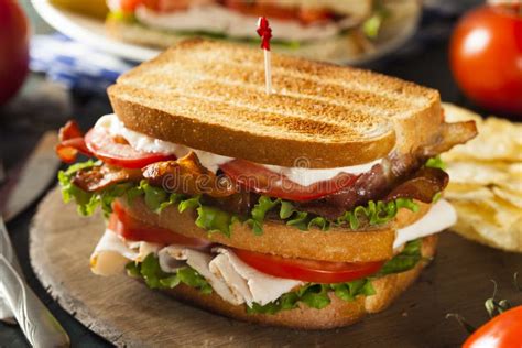 Turkey And Bacon Club Sandwich Stock Photo Image Of Freshness Meal