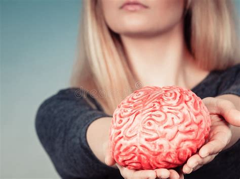 Mano De La Mujer Que Sostiene El Cerebro Imagen De Archivo Imagen De