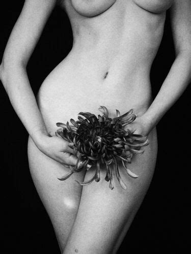 Photo Nude Purchase Of Paintings Art Photography Nude