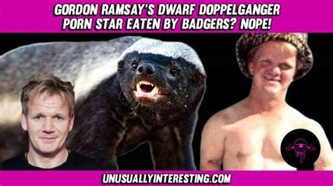 Gordon Ramsay S Dwarf Doppelganger Porn Star Eaten By Badgers Nope
