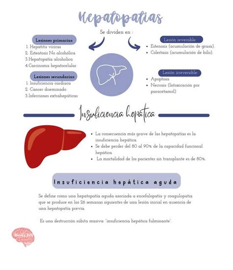 Hepatopat As Insuficiencia Hep Tica Aguda Y Cr Nica Beverly P Rez