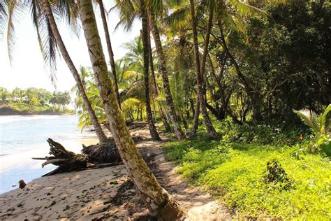 Visit Carenero Island: Best of Carenero Island, Bocas del Toro Province ...
