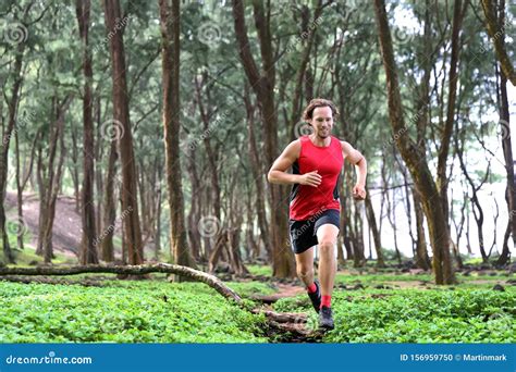 Trail Runner Man Athlete Running Through Forest Nature On Path