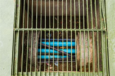 Why Does My Neighborhood Smell Like Sewage at Roberta York blog