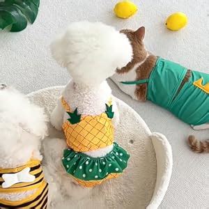 Divertido traje de baño para perro bikini de verano ropa para perro traje de baño para