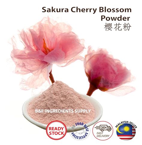 Sakura Powder -Serbuk Bunga Sakura -樱花粉- Natural Food Powder - 纯天然花粉 ...