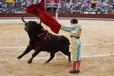 Toros Toros De San Isidro Del De Mayo Qui N Torea Hoy Cartel