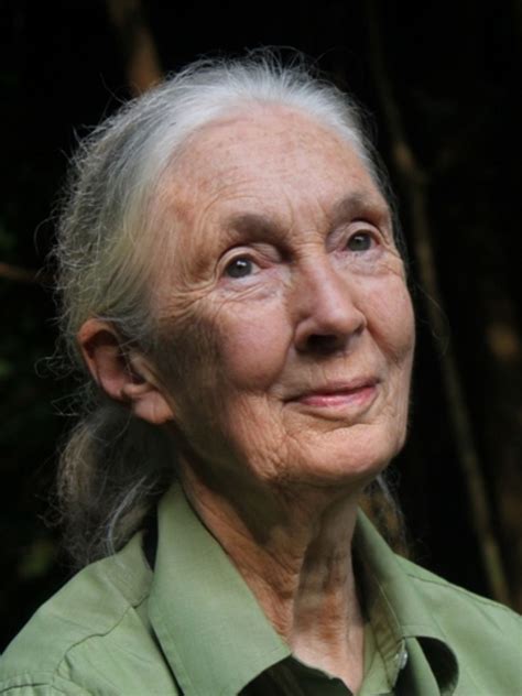 Roots Shoots Usa Youth Movement Of The Jane Goodall Institute Artofit